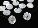 Flower, Mother of Pearl (Shell Beads) Pearl & Shell Beads