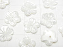 [Video] High Quality White Shell (Silver-lip Oyster) AAA Flower (5pcs Flower) [6mm] [8mm] [10mm] [15mm] Center Hole 4pcs $3.19-!