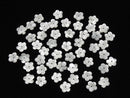 [Video] High Quality White Shell (Silver-lip Oyster) AAA Flower (5pcs Flower) [6mm] [8mm] [10mm] [15mm] Center Hole 4pcs $3.19-!
