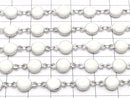 Metal parts Enamel chain [silver x white] 20cm