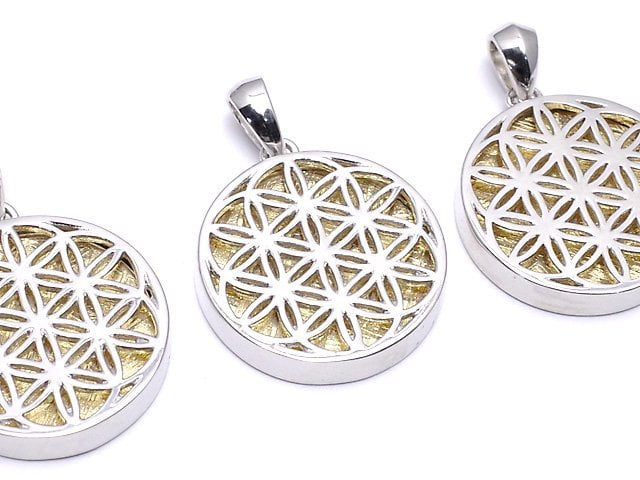 Meteorite Flower of Life Designed Coin Pendant 20 mm Gold Color Silver 925