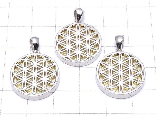 Meteorite Flower of Life Designed Coin Pendant 20 mm Gold Color Silver 925