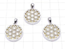 Meteorite Flower of Life Designed Coin Pendant 20 mm Gold Color Silver 925