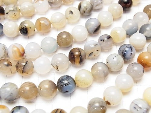 1strand $8.79! Montana Moss Agate AA ++ Round 10mm 1strand beads (aprx.15inch / 37cm)