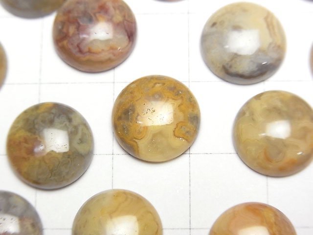 Crazy Lace Agate Round Cabochon 12x12mm 4pcs