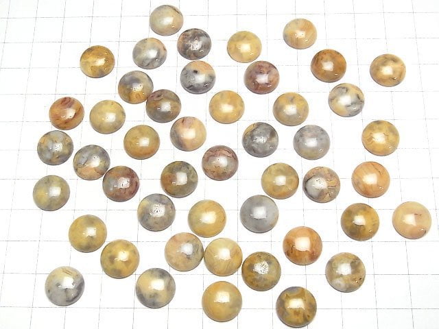 Crazy Lace Agate Round Cabochon 12x12mm 4pcs