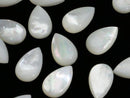 High-quality white shell AAA pear shape (smooth) [12x7][16x10][24x16]