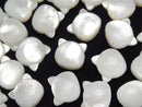 Mother of Pearl (Shell Beads), Other Shape Pearl & Shell Beads