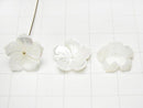 [Video] High Quality Mother of Pearl MOP AAA 3D Flower 14mm Center Hole 4pcs