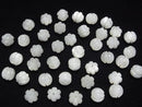 High Quality White Shell (Silver-lip Oyster) AAA Pumpkin [8x7][10x8] 1pc
