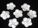 [Video] High quality White Shell AAA Flower 38mm 1pc $5.79!