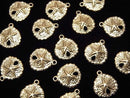 14KGF Charm Sand Dollar 11x10mm 1pc