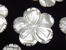 Flower, Mother of Pearl (Shell Beads) Pearl & Shell Beads