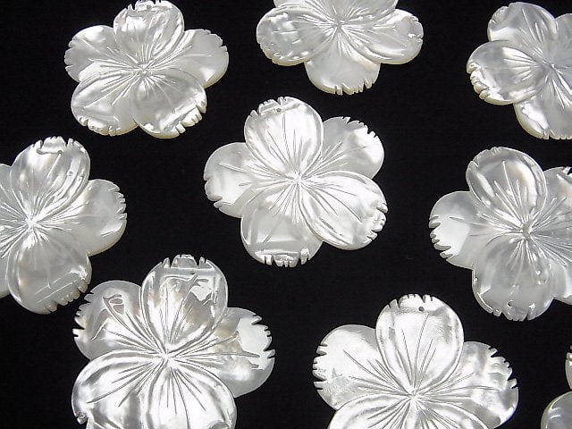 [Video] High quality White Shell AAA Flower 40mm 1pc $5.79!