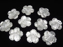 [Video] High quality White Shell AAA Flower 40mm 1pc $5.79!
