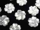 [Video] High Quality White Shell (Silver-lip Oyster) AAA Flower [8mm][10mm][12mm] 3pcs