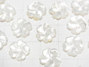 [Video] High Quality White Shell (Silver-lip Oyster) AAA Flower [8mm][10mm][12mm] 3pcs