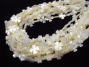High quality White Shell (Silver-lip Oyster) Flower motif 13x13x3mm 1/4 or 1strand beads (aprx.15inch / 38cm)