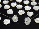 Flower, Mother of Pearl (Shell Beads) Pearl & Shell Beads