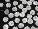 [Video] High quality White Shell (Silver-lip Oyster) AAA Flower [6 mm] [8 mm] [10 mm] Center hole 4 pcs $3.19