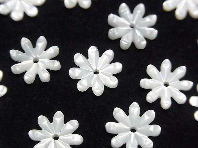 高品質白碟貝 AAA 菊花切面 [6mm][8mm][10mm][12mm] 中孔 4顆