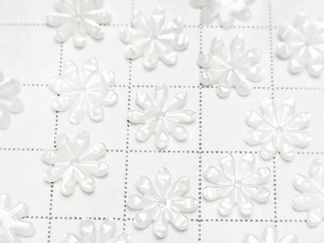 高品質白碟貝 AAA 菊花切面 [6mm][8mm][10mm][12mm] 中孔 4顆