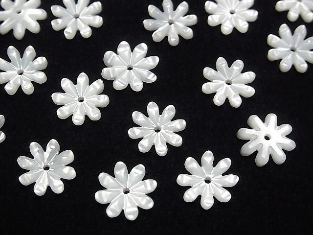 高品質白碟貝 AAA 菊花切面 [6mm][8mm][10mm][12mm] 中孔 4顆