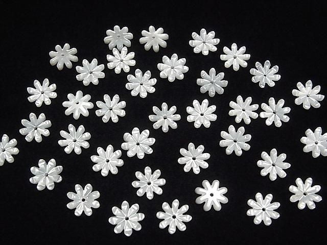 高品質白碟貝 AAA 菊花切面 [6mm][8mm][10mm][12mm] 中孔 4顆