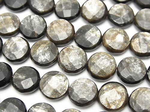 Coin, Moscovite Gemstone Beads