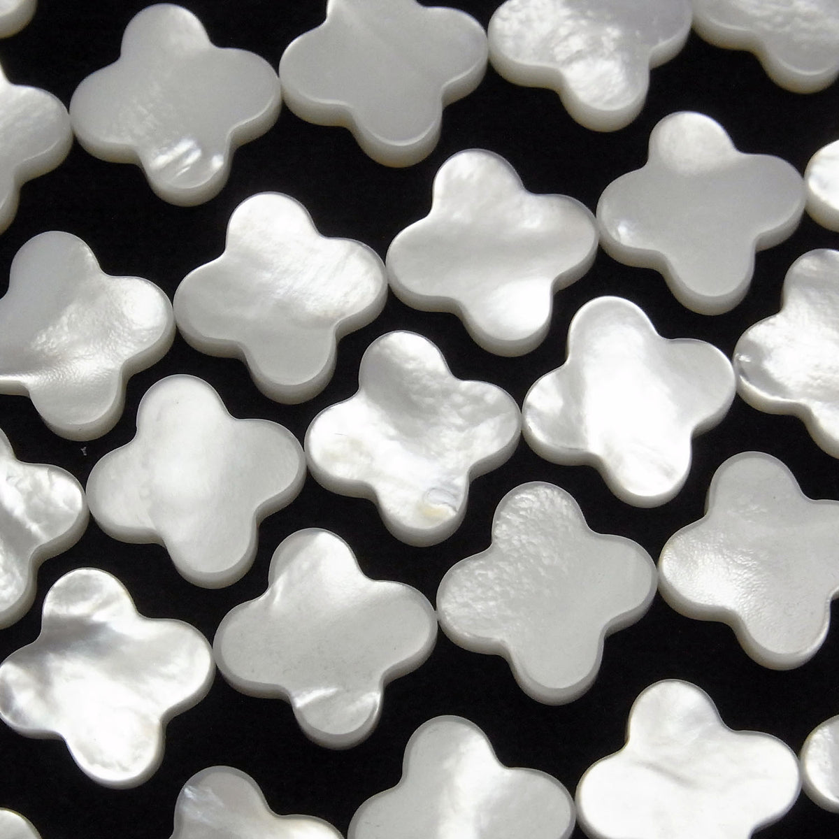 優質白色貝殼AAA花朵圖案13x13x3公釐 1/4或1串珠子(約15英吋/38公分)