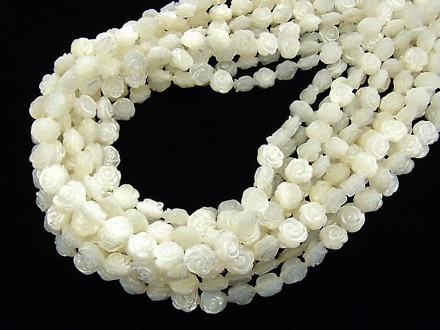 Hochwertige Weiße Muschelrosen Schnitzerei (Beidseitig Fertig) 8 x 8 x 3 mm 1/4 oder 1Strang Perlen (ca. 15 Zoll / 38 cm)