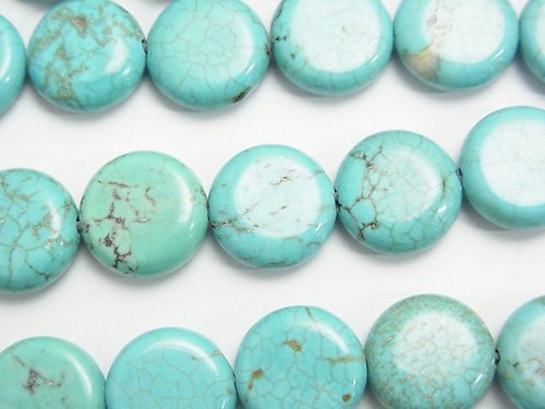 Coin, Magnesite Turquoise Gemstone Beads