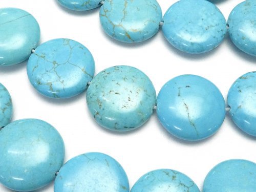 Coin, Magnesite Turquoise Gemstone Beads