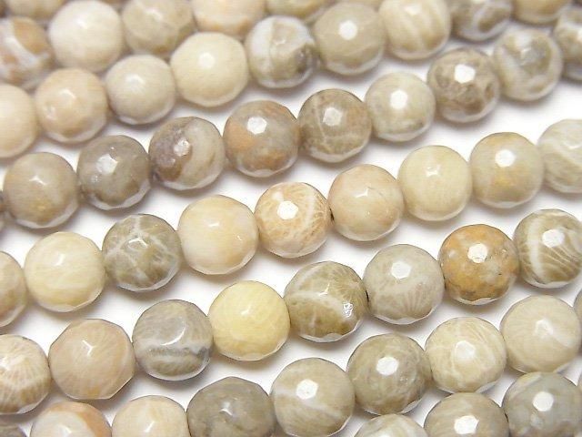 [Video]Fossil Coral 128Faceted Round 6mm half or 1strand beads (aprx.15inch/37cm)