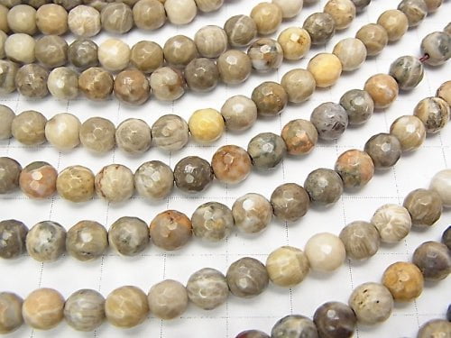 Fossil Coral  64Faceted Round 6mm half or 1strand beads (aprx.15inch/37cm)