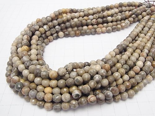 Fossil Coral  64Faceted Round 6mm half or 1strand beads (aprx.15inch/37cm)