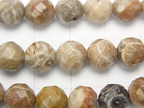 Fossil Coral  64Faceted Round 8mm half or 1strand beads (aprx.15inch/38cm)