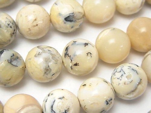 [Video] African Opal  Round 12mm half or 1strand beads (aprx.15inch/36cm)