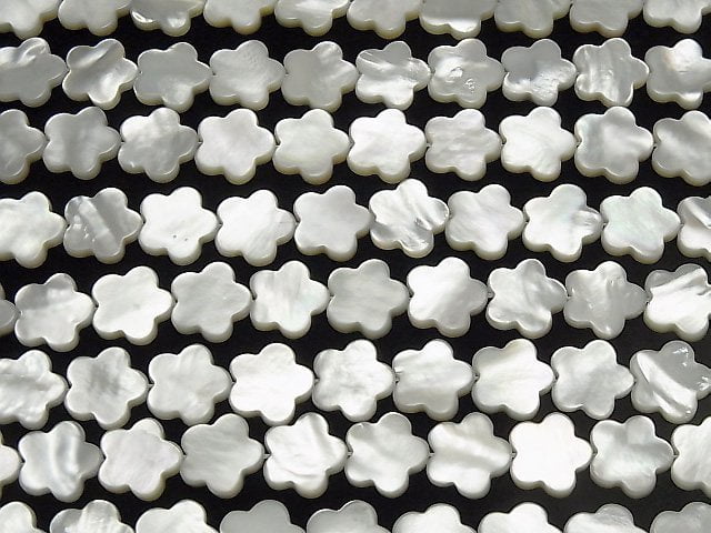 [Video] White Shell AAA Flower Motif 14x14x3mm 1/4 or 1strand beads (aprx.15inch / 37cm)