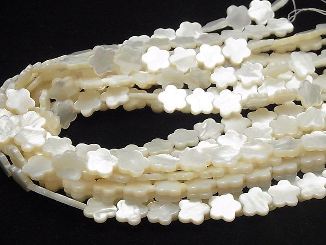 [Video] White Shell AAA Flower Motif 14x14x3mm 1/4 or 1strand beads (aprx.15inch / 37cm)