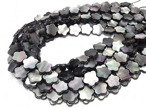 Black Shell AAA Flower Motif 14x14x3mm half or 1strand beads (aprx.15inch / 37cm)