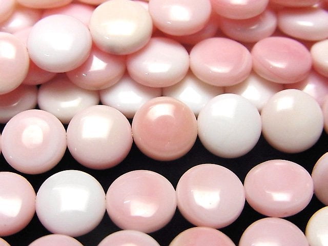 Queen Conch Shell AAA Coin 8x8x4mm 1/4 or 1strand beads (aprx.15inch / 38cm)