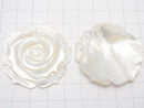 [Video] High Quality White Shell (Silver-lip Oyster) AAA Rose 40mm 1pc