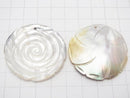 [Video] High Quality White Shell AAA Rose 40mm 1pc $4.79