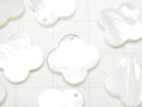 [Video] High quality White Shell (Silver-lip Oyster) Flower motif 14 mm, 18 mm 1 pc $2.59