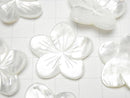 [Video] High quality White Shell (Silver-lip Oyster) AAA Flower 27 mm 1 pc $4.79!