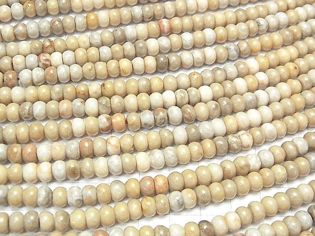 [Video] Fossil Coral Rondelle 6x6x4mm 1strand beads (aprx.15inch / 37cm)