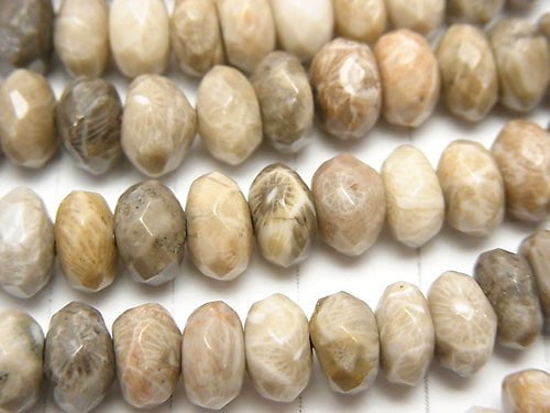 Fossil Coral  Faceted Button Roundel 8x8x5mm half or 1strand beads (aprx.15inch/38cm)