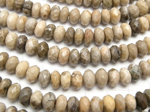 Fossil Coral  Faceted Button Roundel 8x8x5mm half or 1strand beads (aprx.15inch/38cm)