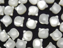 Mother of Pearl (Shell Beads), Other Shape Pearl & Shell Beads